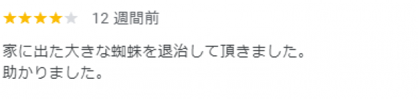 【口コミ・評判】2024年7月　クモ駆除　京都府宇治市サムネイル