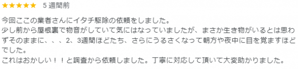 【口コミ・評判】2024年9月　イタチ駆除　京都市上京区サムネイル