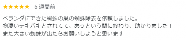 【口コミ・評判】2024年9月　クモ駆除　京都市下京区サムネイル